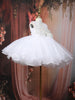 White Flared Sequin Design Net Frock With Oversized Bow