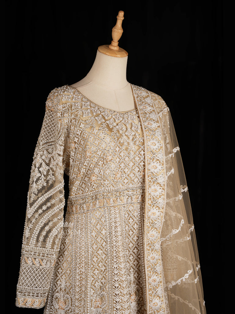 Embroidered Net Gown in Beige with Dupatta