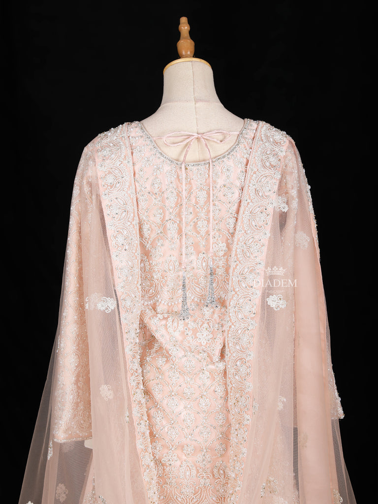 Full Sleeve Net Dupatta Pale Peach