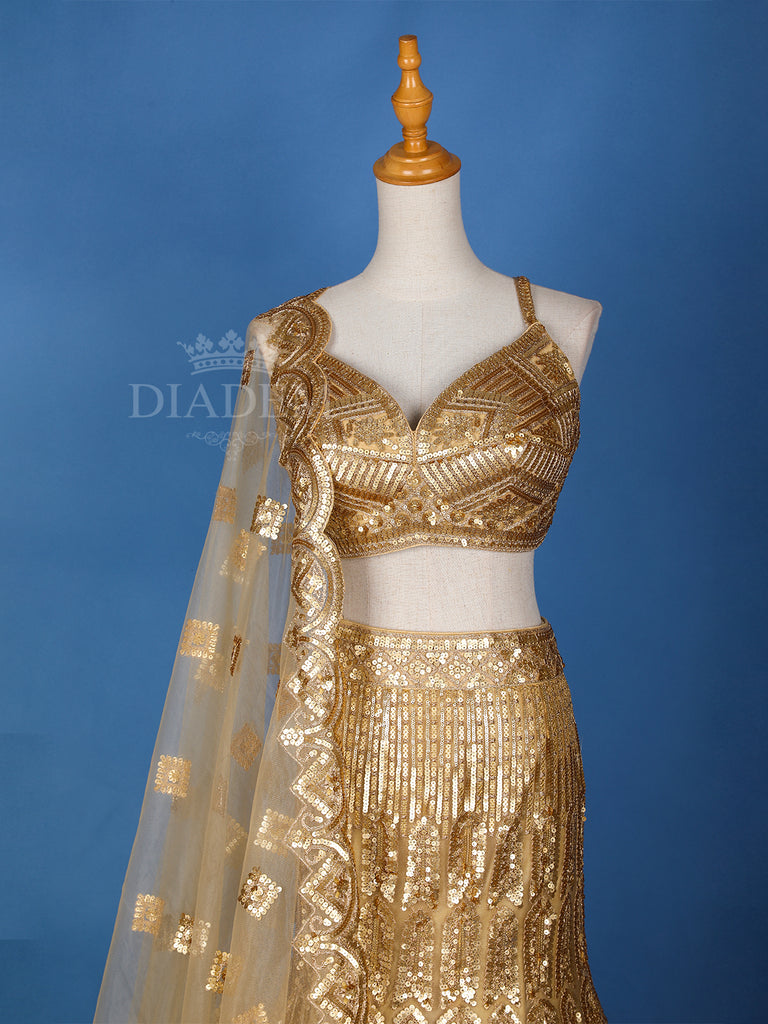 Mermaid Lehenga with Gold Sequin Embroidery